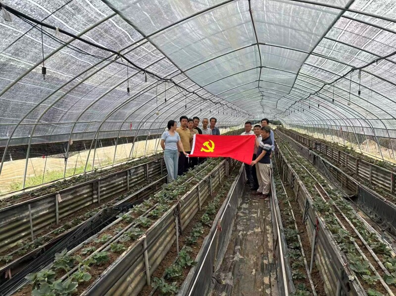 生态农业党支部与句容市白兔镇倪塘村党总支部结对共建4.jpg