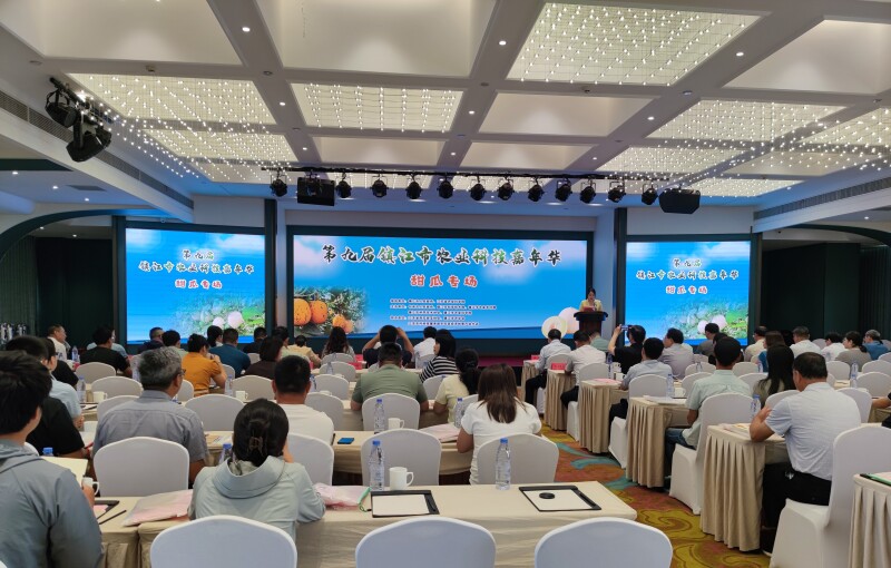 西甜瓜嘉年华2.jpg