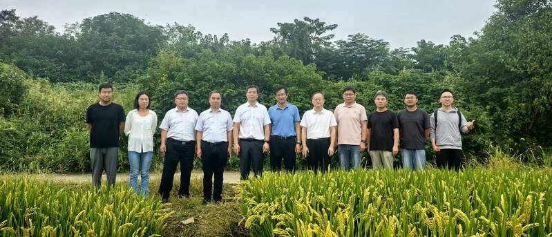 新闻稿原图1.jpg